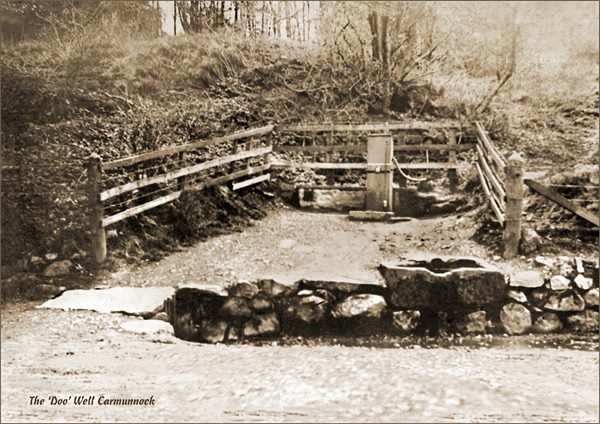 The Doo Well