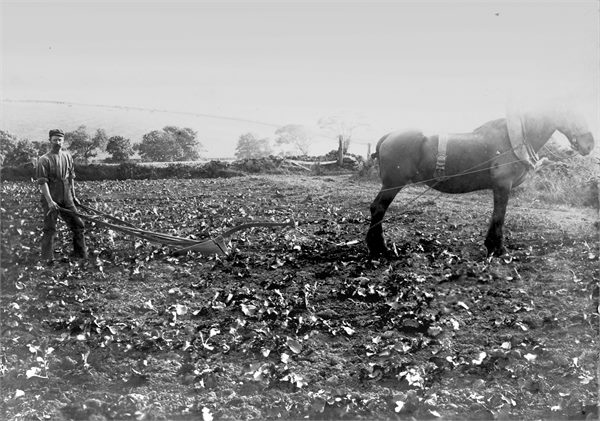 Farming
