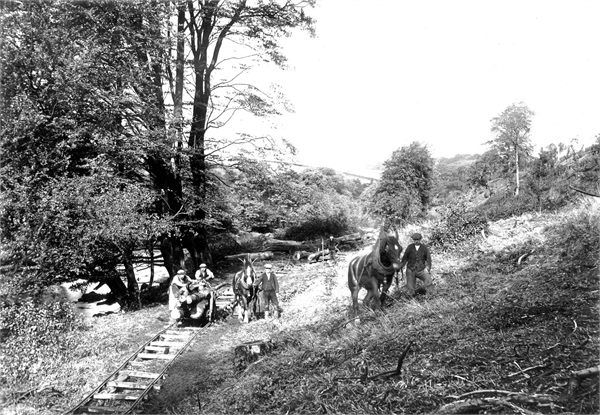 Possibly Cathkin Braes