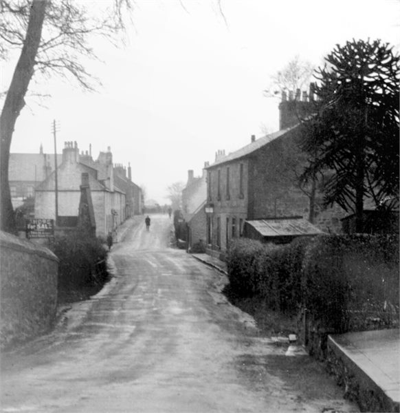 Looking North towards the Cross