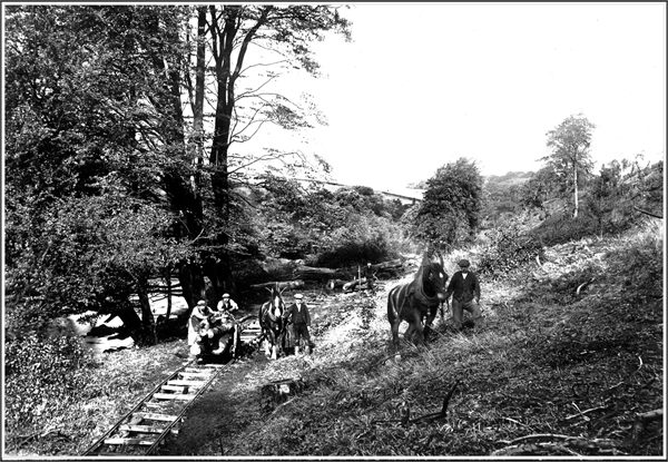 Horses logging possibly Cathkin Braes.