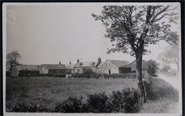Mid Netherton Farm