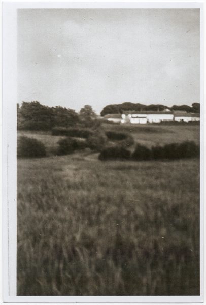 Windlaw Farm