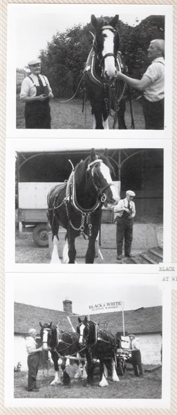 Black and White Whisky team at Windlaw Farm 1973