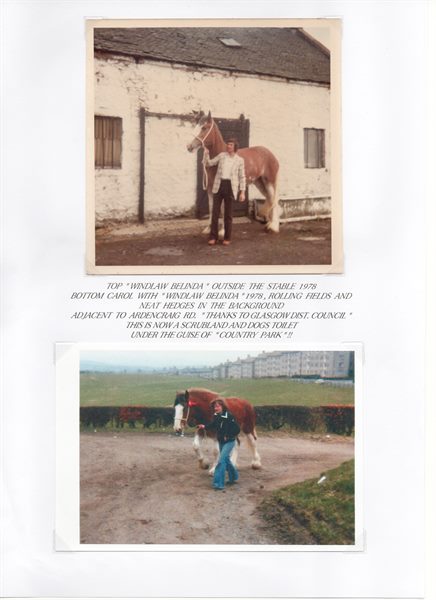 Windlaw Farm Pg. 22