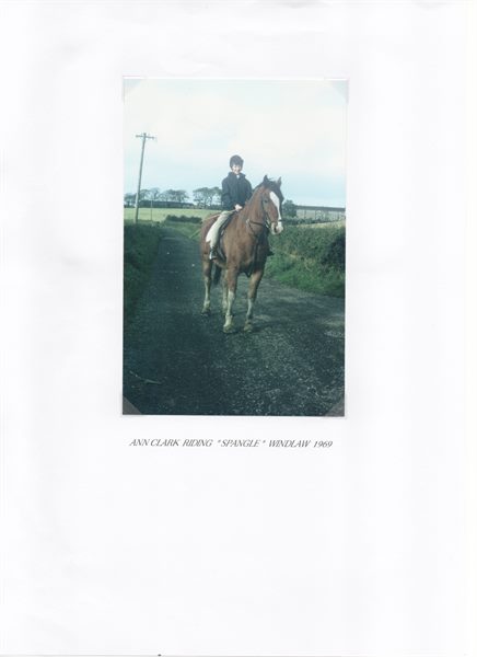 Windlaw Farm Pg. 10