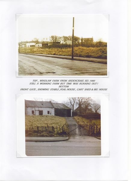 Windlaw Farm Pg.24