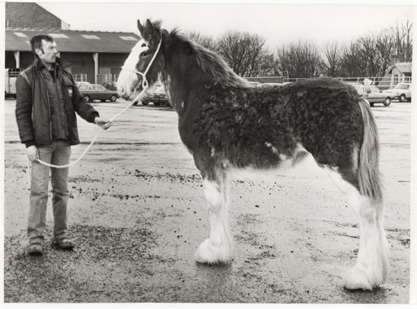 Robert Goldie  with Princetown Lucinda