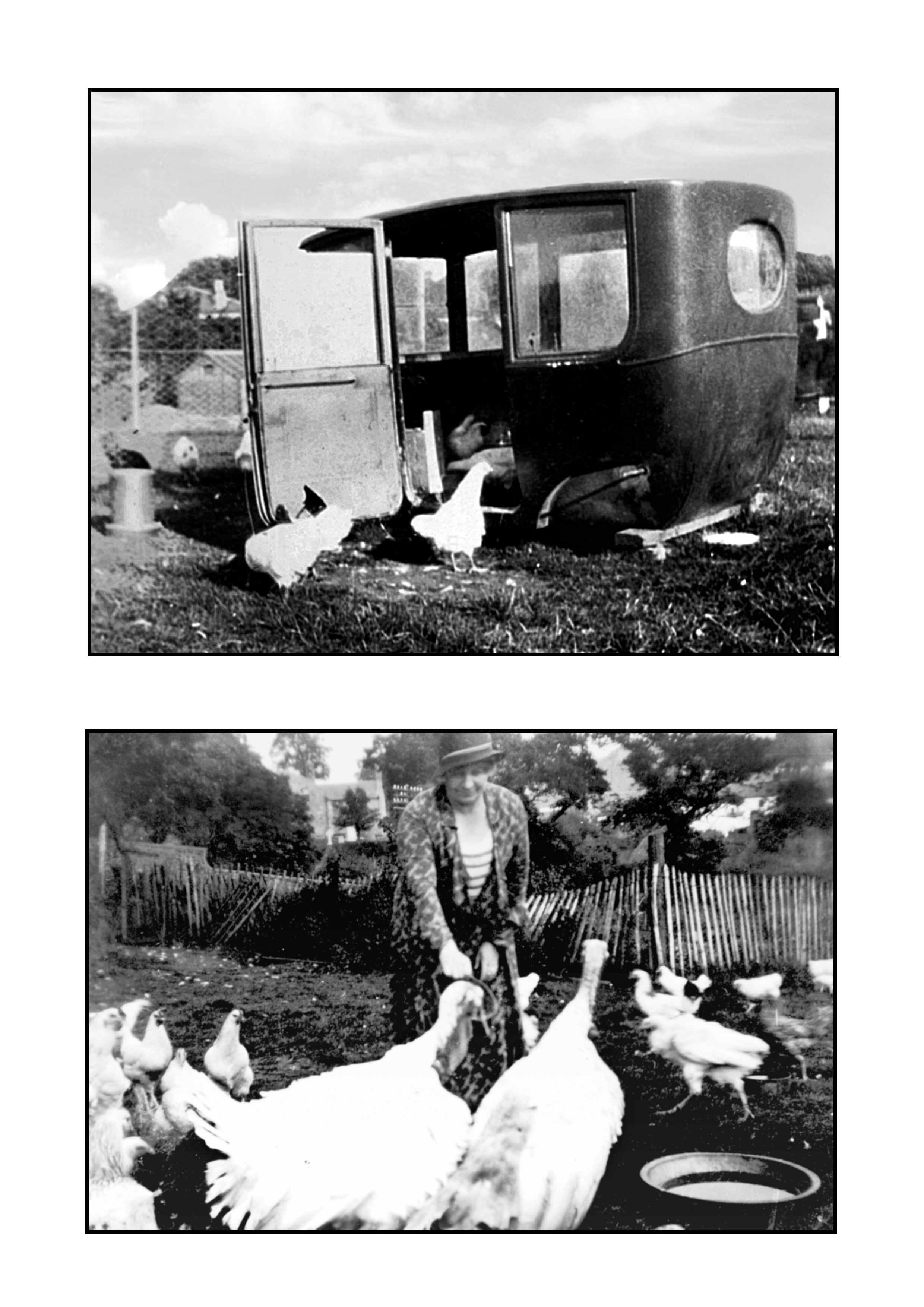 Bankhead Farm