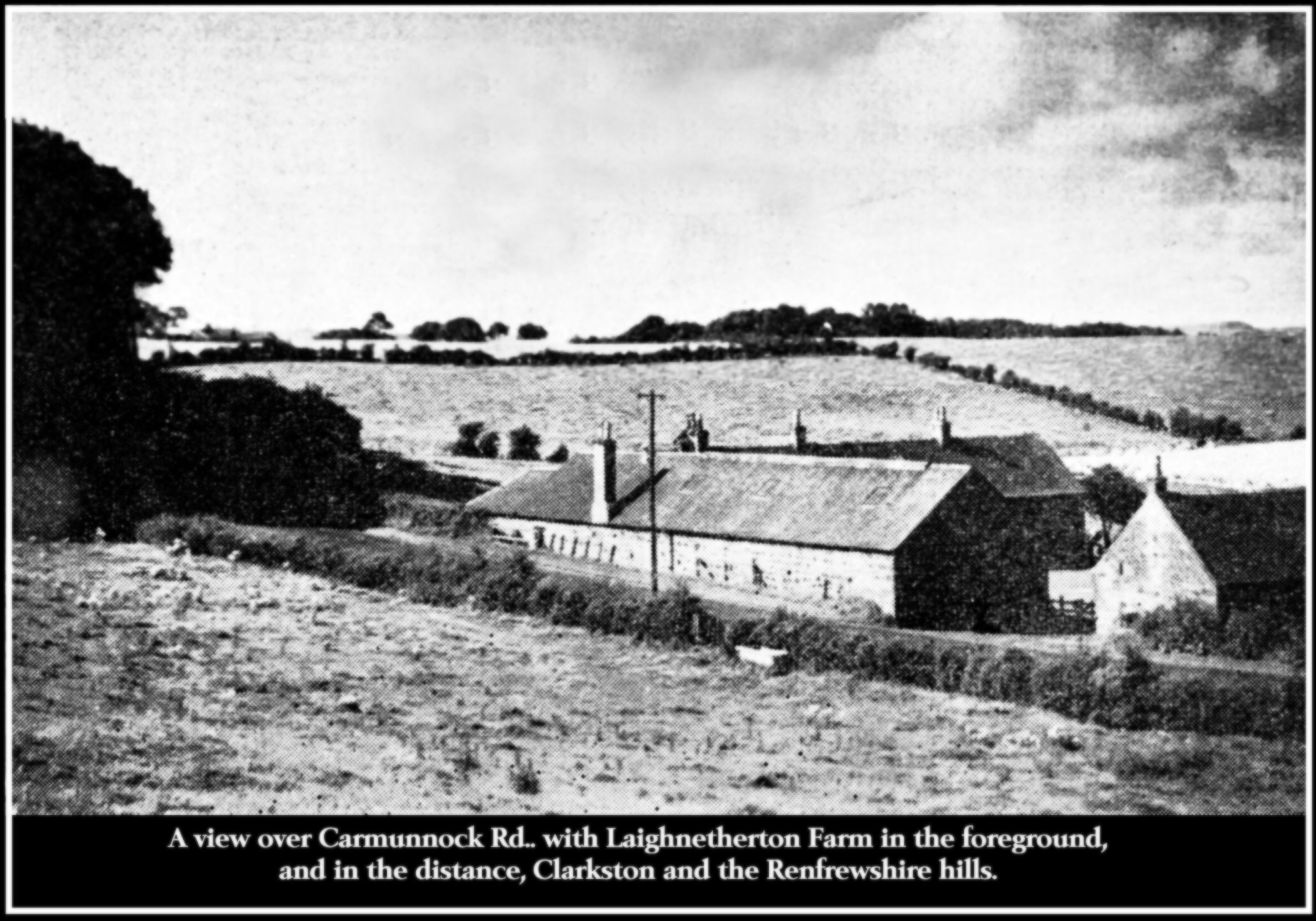 Farm