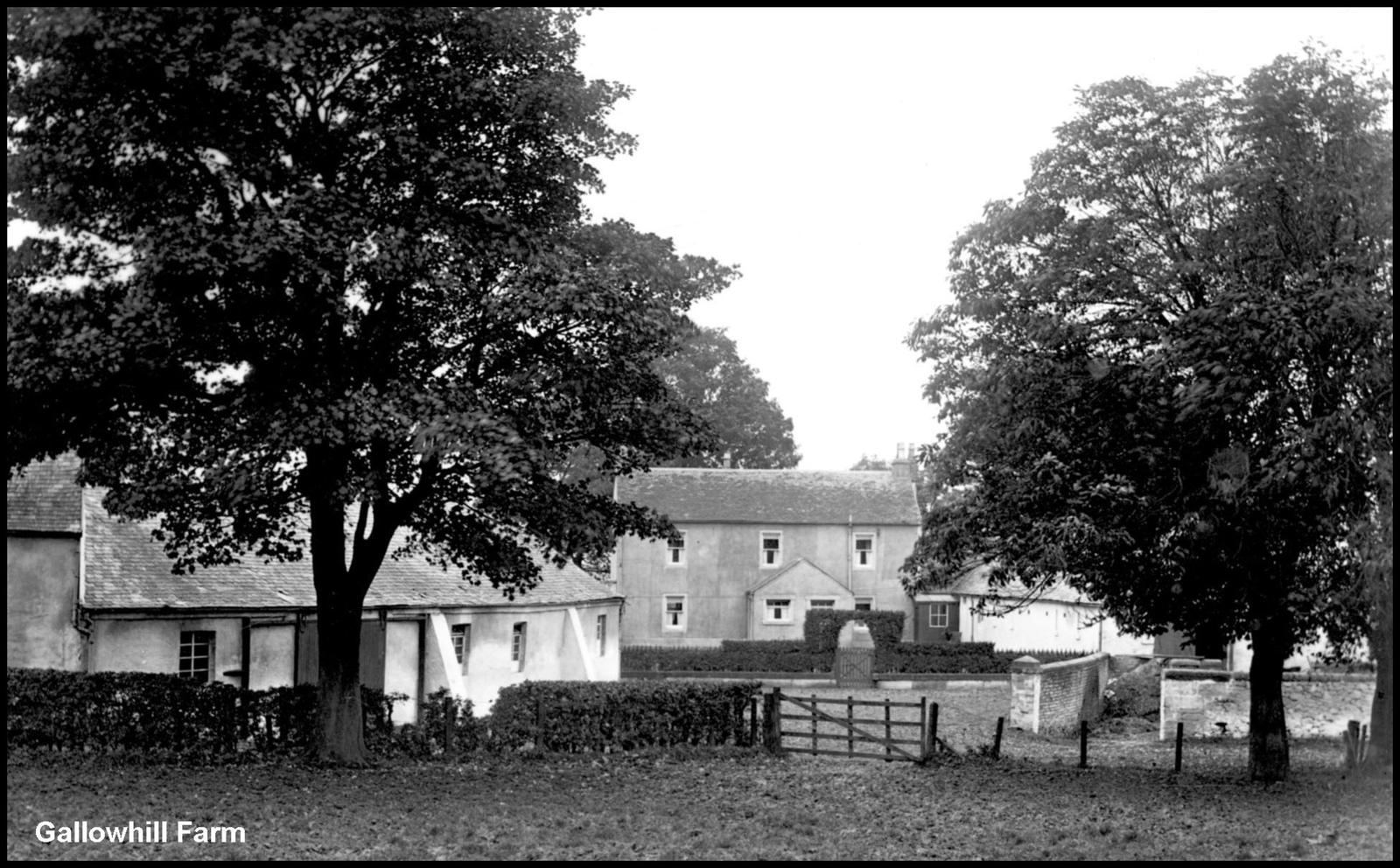 Farm