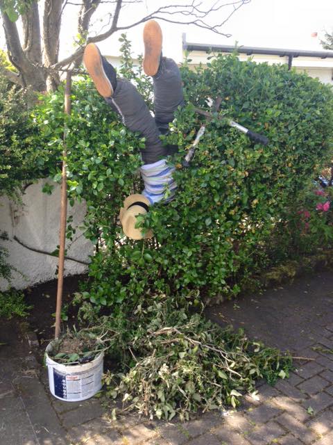 Scarecrows 2016
