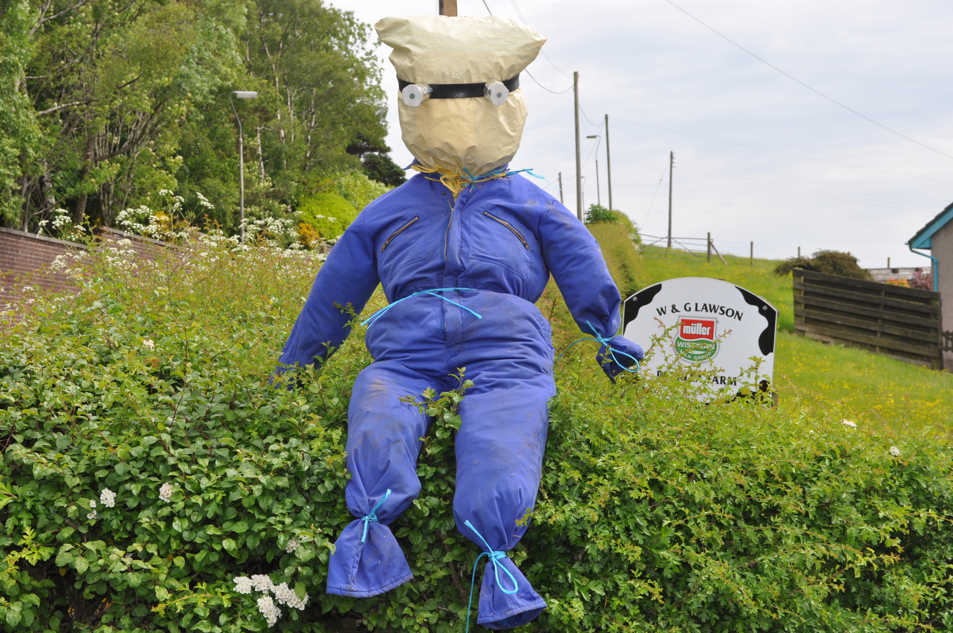 Scarecrows