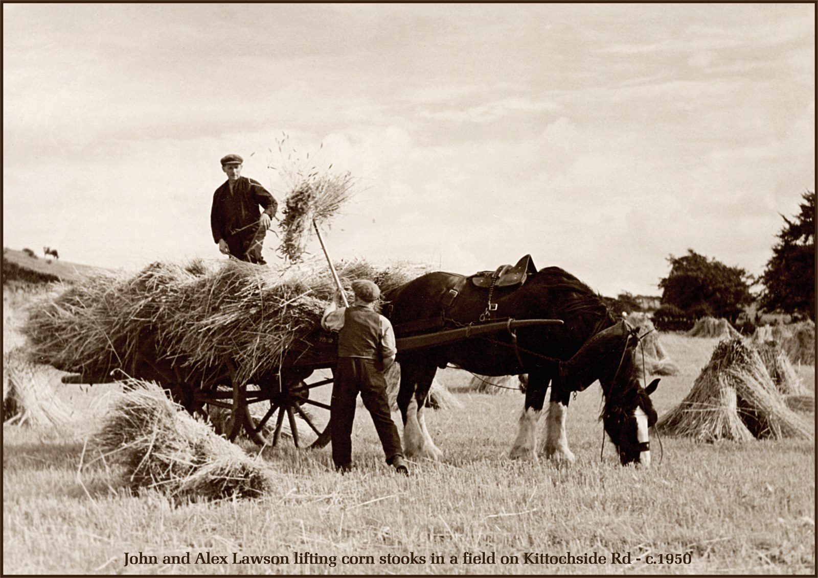 Farming Parklea