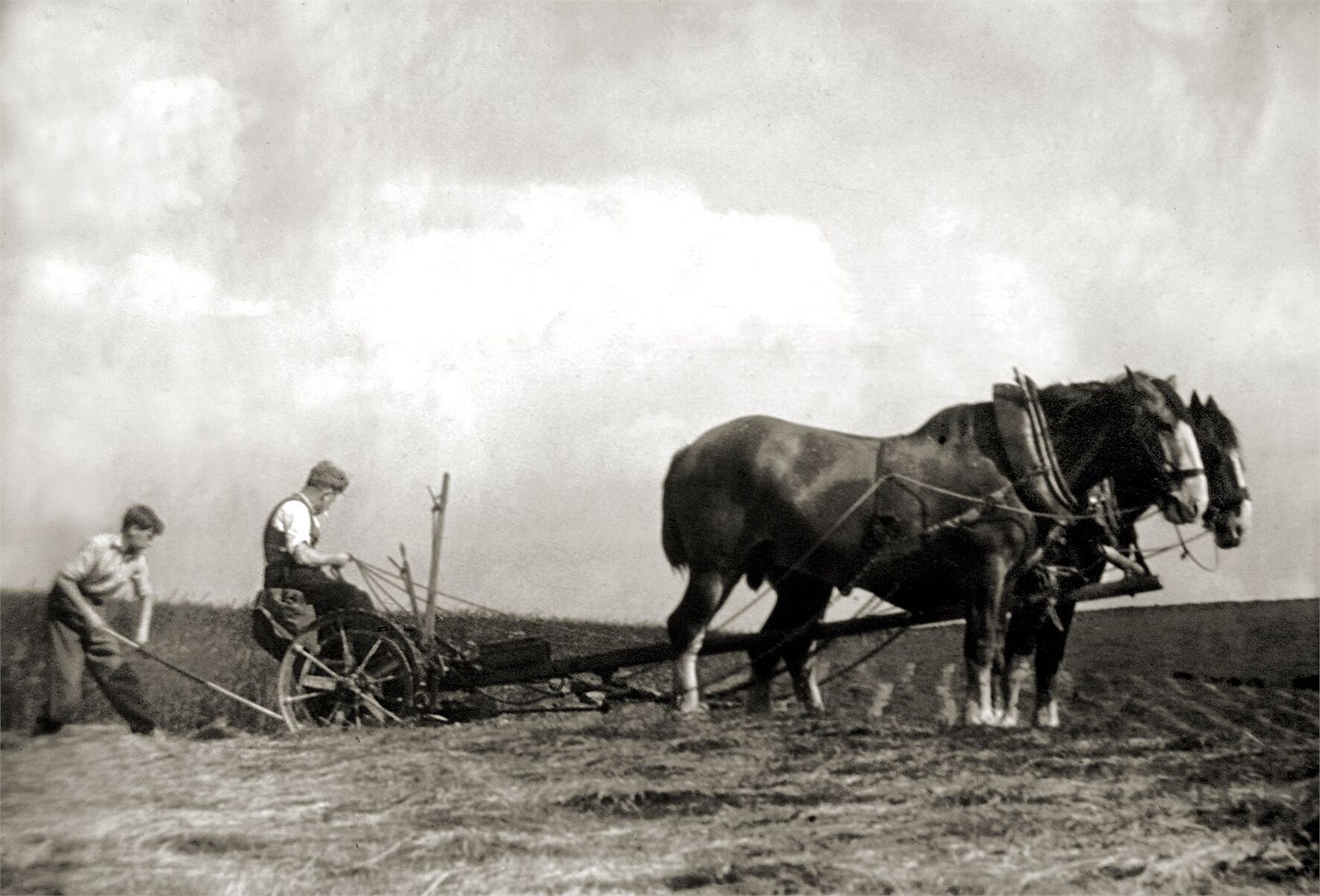 Ploughing