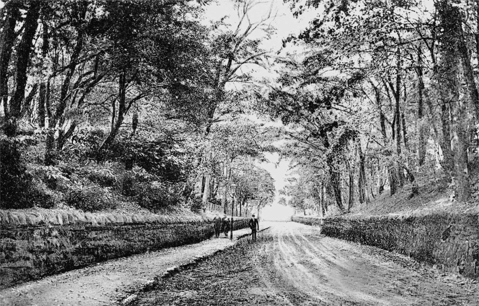 Cathkin Braes Rd.