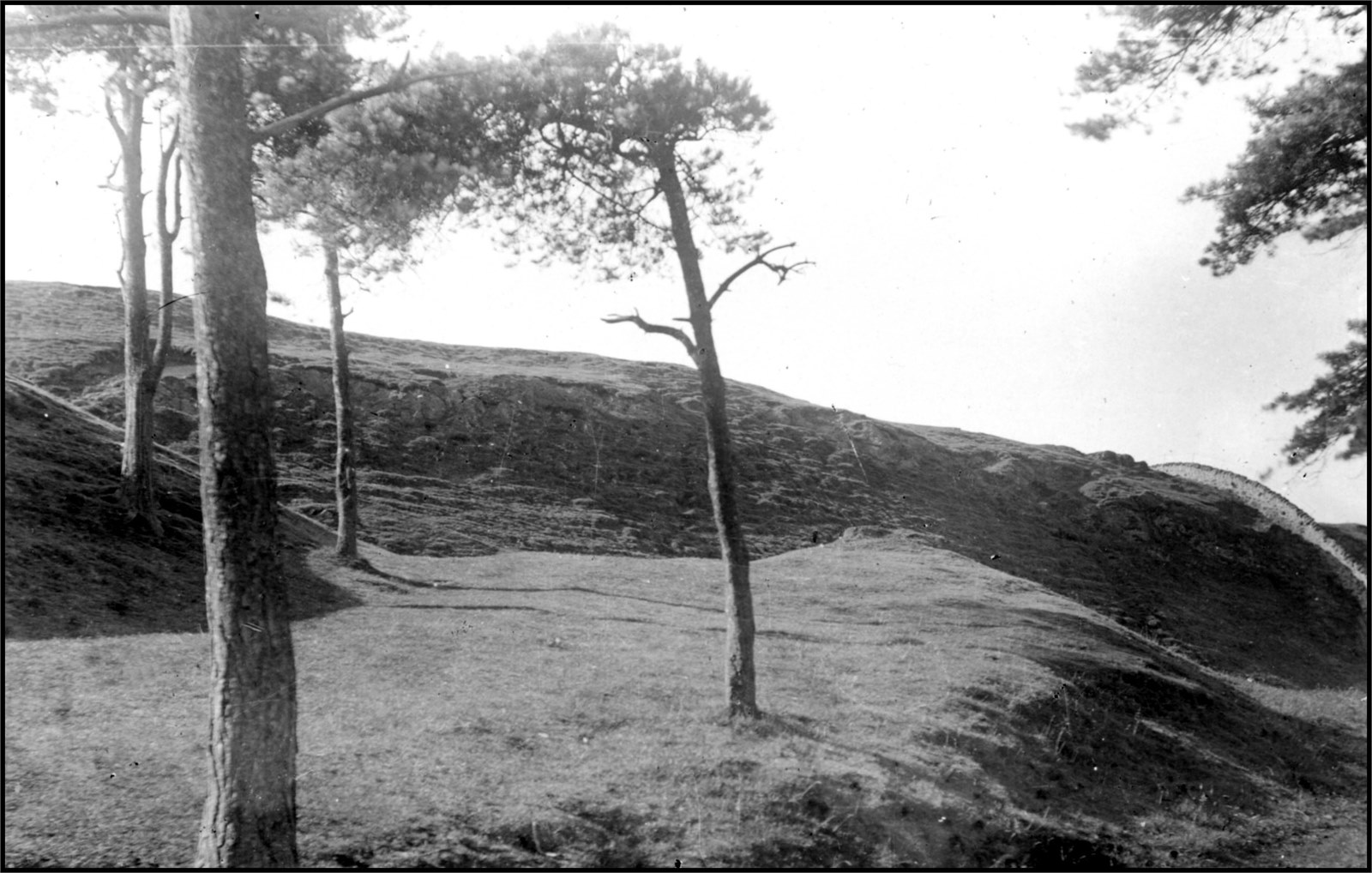 Cathkin Braes view