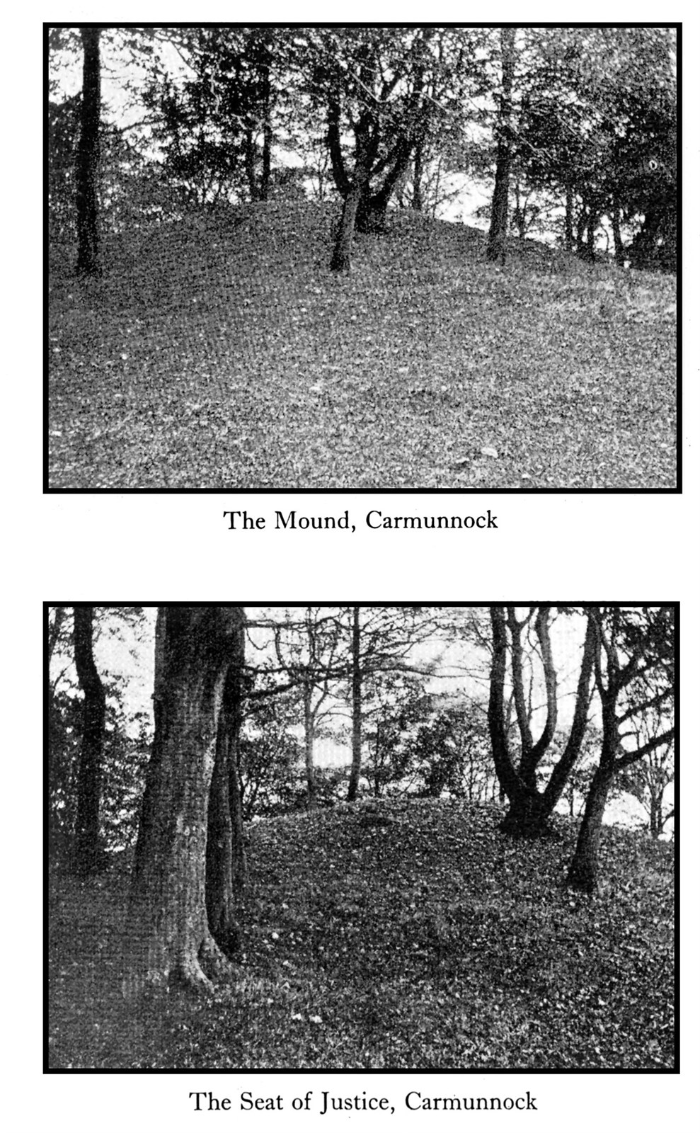 Ancient remains Cathkin Braes