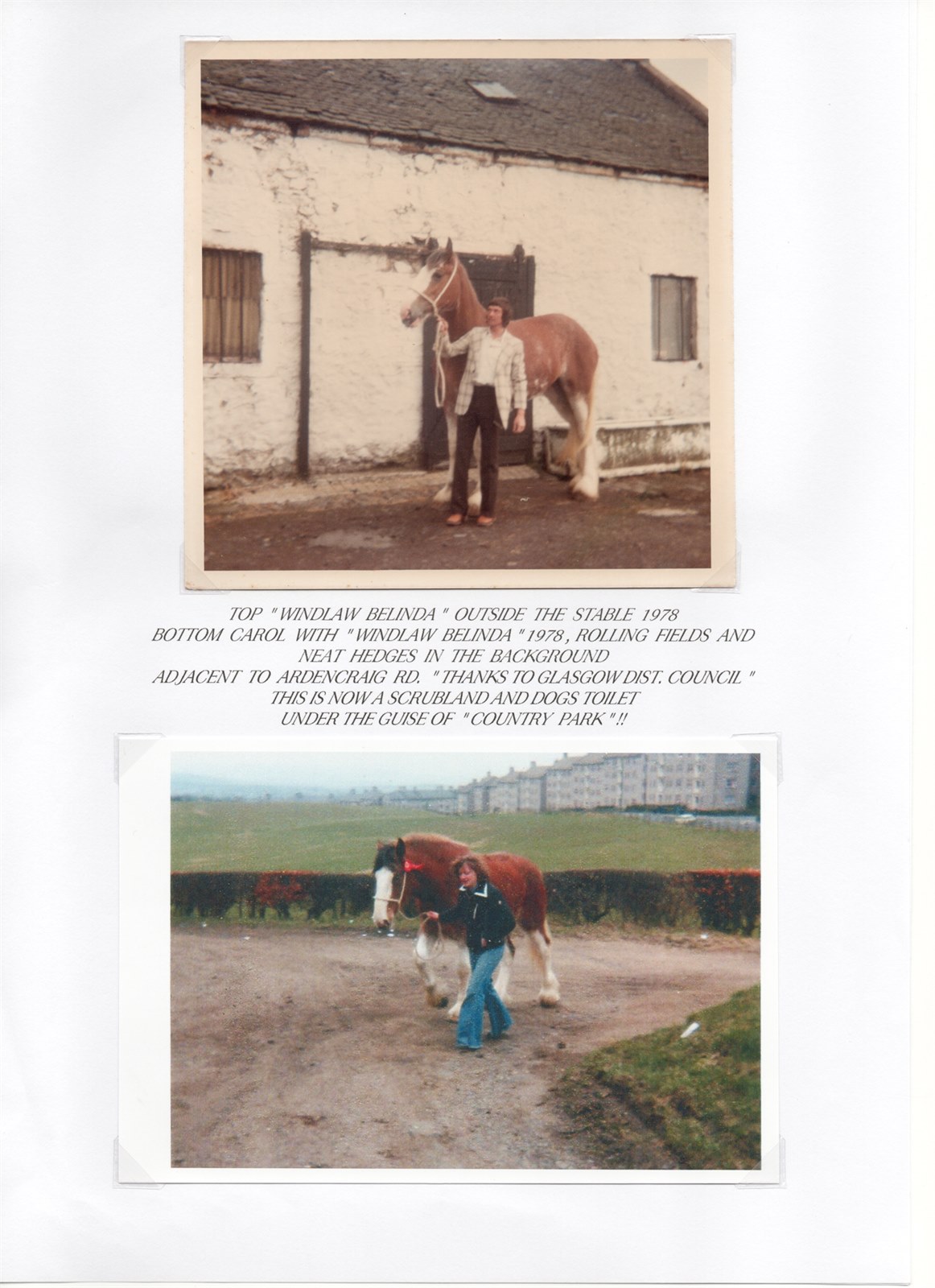 Windlaw Farm Pg. 22