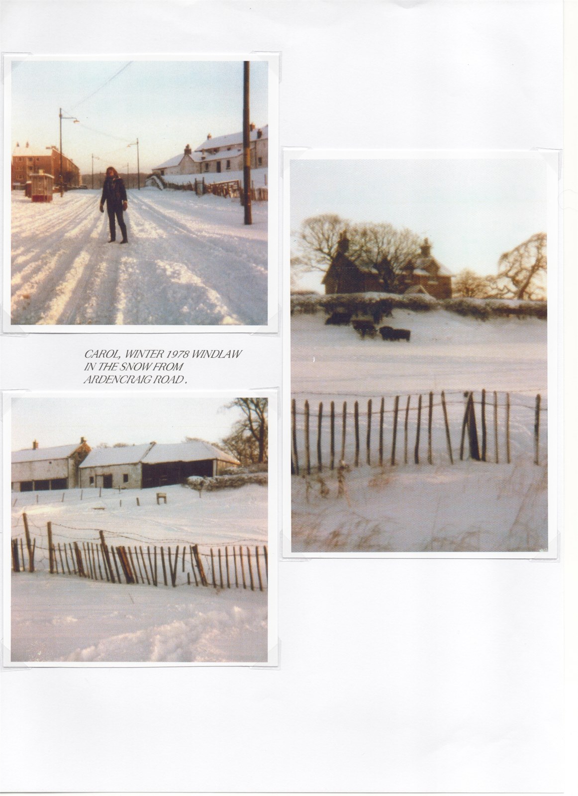 Windlaw Farm Pg. 23