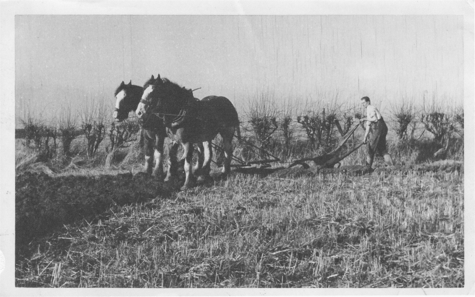 Ploughing at Windlaw Farm