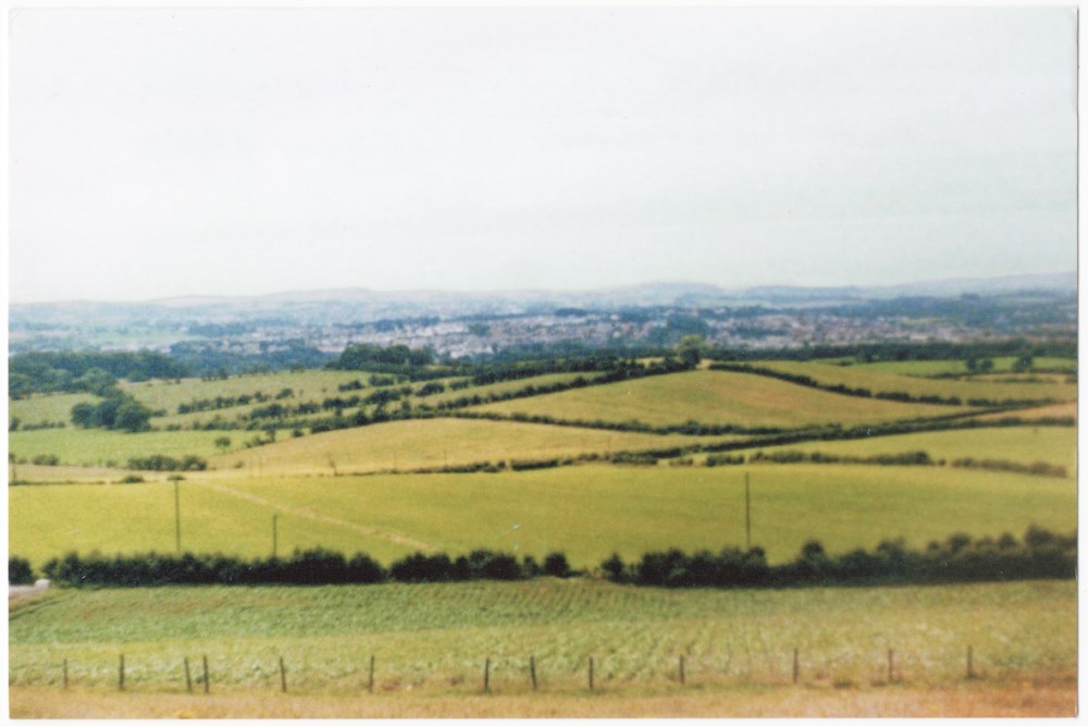 View across Netherton Braes